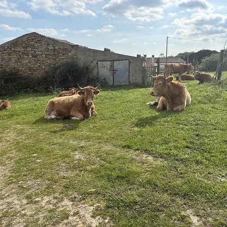 Tisiennari Azienda Agrituristica Casa vacanze Terme di Castel Doria